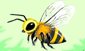 Drawing of Bumblebee by Flowerpot