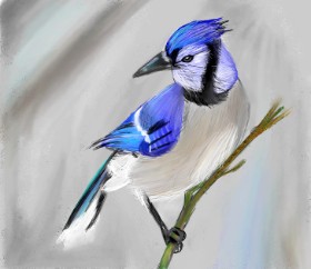 Lou の 鳥 の絵