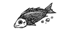 HAHAH の 魚 の絵
