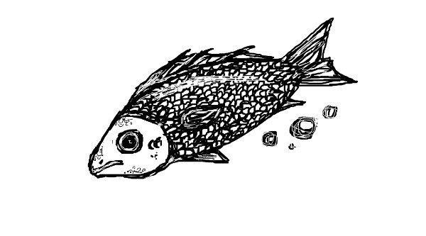 HAHAH の 魚 の絵