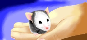 Рисунок на тему «Мышь» — автор: ZORLA