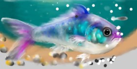 Mandy Boggs の 魚 の絵