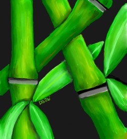 Drawing of Bamboo by GreyhoundMama