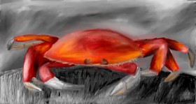 Rak - autor: Mia