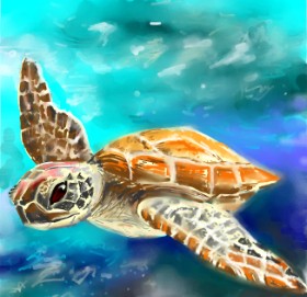 ⋆su⋆vinci彡 の ウミガメ の絵