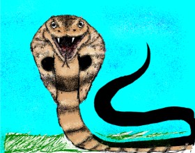 Nonuvyrbiznis  の 蛇 の絵