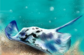 Рисунок на тему «Скат» — автор: Wizard