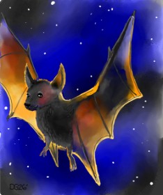 Drawing of Bat by GreyhoundMama