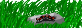Drawing of Caterpillar by Ur my frnds