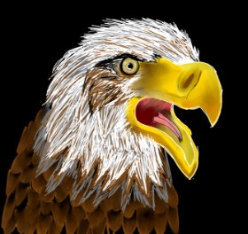Drawing of Eagle by Rash