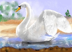 SAM AKA MARGARET 🙄 の 白鳥 の絵