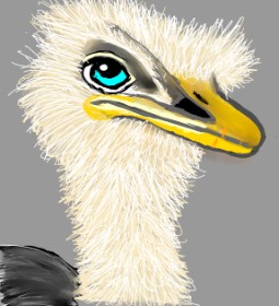 Drawing of Ostrich by Bri