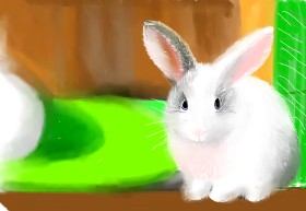 Рисунок на тему «Кролик» — автор: Pam