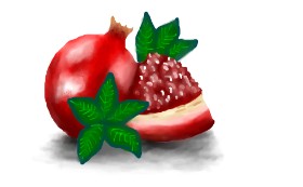 ninci_luli の ザクロ の絵