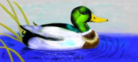 Debidolittle の アヒル の絵