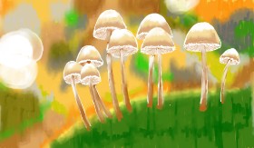 Drawing of Mushroom by SAM AKA MARGARET 🙄