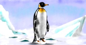 Eclat de Lune の ペンギン の絵