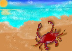 Drawing of Crab by Debidolittle