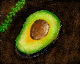 sam の アボカド の絵