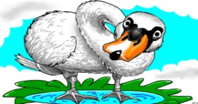 Drawing of Swan by Swimmer