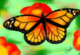 Рисунок на тему «Бабочка» — автор: Sophie_draw24