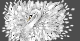 Drawing of Swan by Eclat de Lune