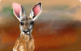 Rose rocket の カンガルー の絵