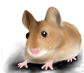 Miš - autor: Emit