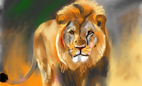 Drawing of Lion by Herbert