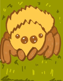 Drawing of Spider by DOM KANG