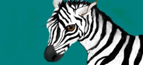 Zebra-Zeichnung von S.Elizabeth
