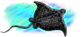 Рисунок на тему «Скат» — автор: Debidolittle