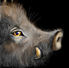 Drawing of Wild boar by Leah