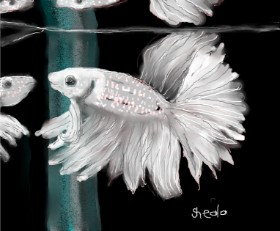 Kai 🐾 の 鏡 の絵