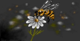 Drawing of Bee by Eclat de Lune