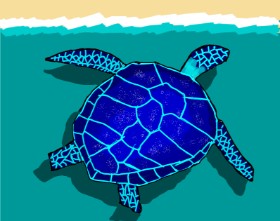 MaRi の ウミガメ の絵