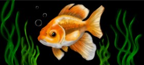 Annie の 金魚 の絵