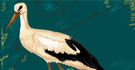 Drawing of Stork by LOKA