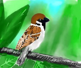 Drawing of Sparrow by COOKIE🍪