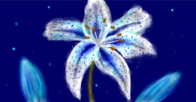Eclat de Lune の ユリの花 の絵