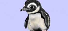 Kim の ペンギン の絵