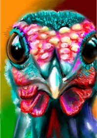 ⋆su⋆vinci彡 の 七面鳥 の絵
