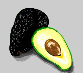 Geo-Pebbles の アボカド の絵