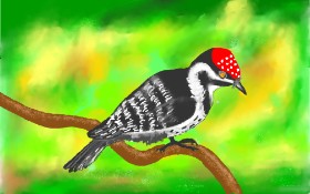 GJP の キツツキ の絵