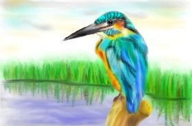 Wizard の 鳥 の絵