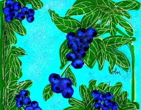 Drawing of Blueberry by Nonuvyrbiznis 