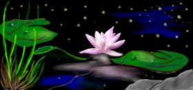 Drawing of Water lily by Çhåching