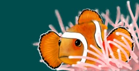 Рисунок на тему «Clownfish» — автор: Eclat de Lune