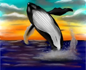 Grissyy の クジラ の絵