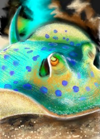 Drawing of Stingray by ⋆su⋆vinci彡